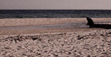 Holiday House in Capo blu (Pula) (Cagliari) or holiday homes and vacation rentals