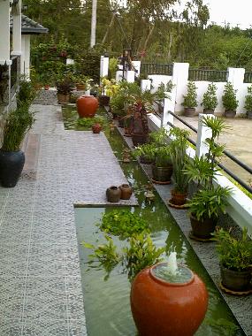 Fish & Ornimental Pond