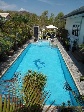 Large Salt Water Pool & Spa