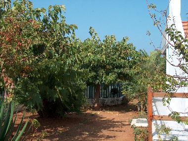 Holiday House in Ostuni (Brindisi) or holiday homes and vacation rentals