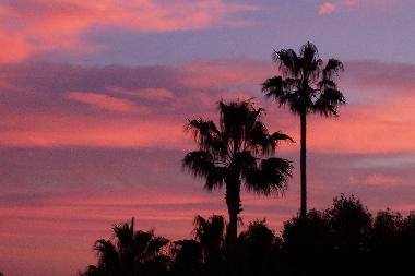 Bed and Breakfast in Golfe Juan (Alpes-Maritimes) or holiday homes and vacation rentals