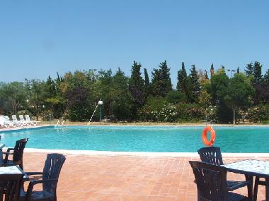 Holiday House in Ostuni (Lecce) or holiday homes and vacation rentals