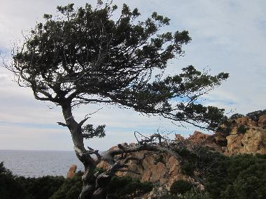 Holiday Apartment in Trinit d