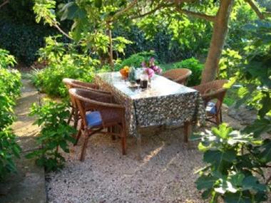 Holiday Apartment in Sutivan (Splitsko-Dalmatinska) or holiday homes and vacation rentals