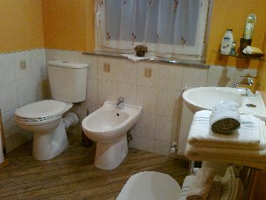 WC & bidet