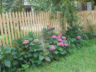 Bed and Breakfast in Horezu (Valcea) or holiday homes and vacation rentals