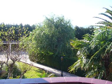 Bed and Breakfast in  (Alicante / Alacant) or holiday homes and vacation rentals