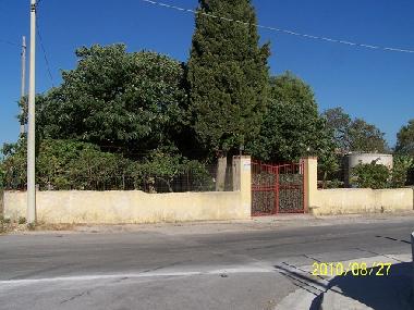 External