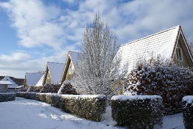 Holiday House in Groet (Noord-Holland) or holiday homes and vacation rentals