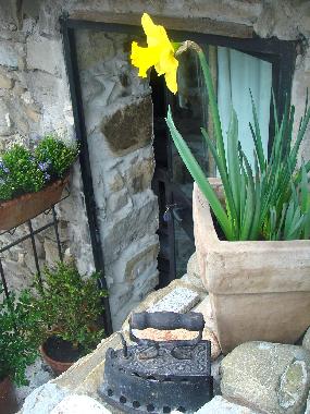 entrance  to the appartment