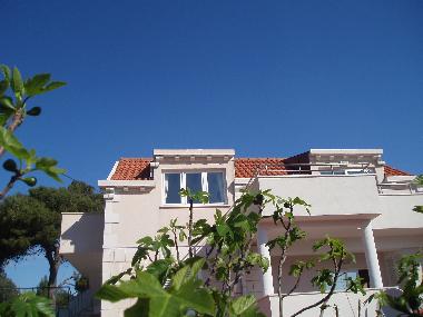 Holiday Apartment in Dubrovnik (Dubrovacko-Neretvanska) or holiday homes and vacation rentals