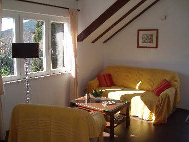 Holiday Apartment in Dubrovnik (Dubrovacko-Neretvanska) or holiday homes and vacation rentals