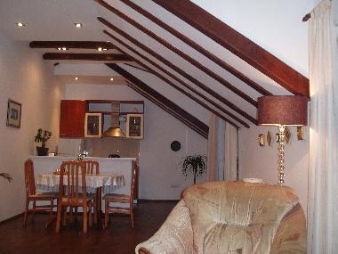 Holiday Apartment in Dubrovnik (Dubrovacko-Neretvanska) or holiday homes and vacation rentals