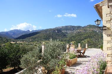 Villa in selva (Mallorca) or holiday homes and vacation rentals