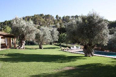 Villa in selva (Mallorca) or holiday homes and vacation rentals