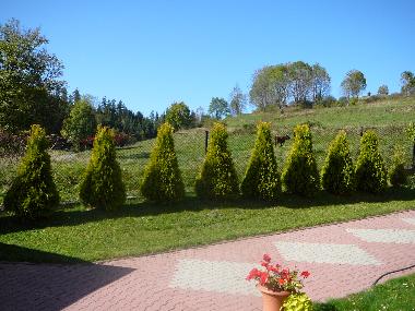 Holiday House in Rabka Zdrj (Malopolskie) or holiday homes and vacation rentals