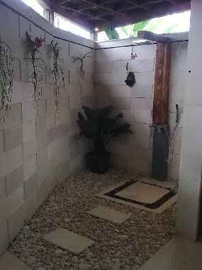 Villa in UBUD (Bali) or holiday homes and vacation rentals