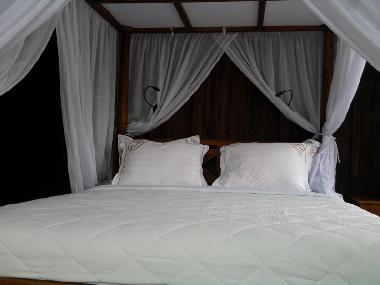Villa in UBUD (Bali) or holiday homes and vacation rentals