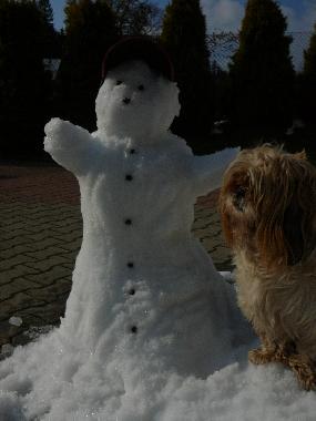 Holiday House in Rabka Zdrj (Malopolskie) or holiday homes and vacation rentals