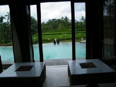 Villa in UBUD (Bali) or holiday homes and vacation rentals