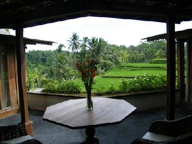Villa in UBUD (Bali) or holiday homes and vacation rentals