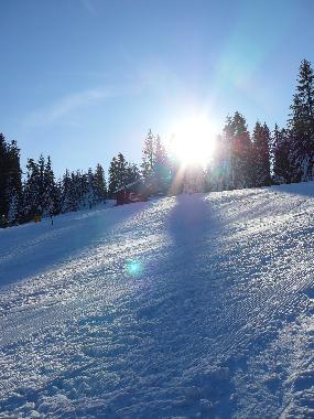 Holiday House in Rabka Zdrj (Malopolskie) or holiday homes and vacation rentals