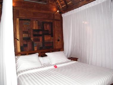 Villa in UBUD (Bali) or holiday homes and vacation rentals