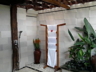 Villa in UBUD (Bali) or holiday homes and vacation rentals