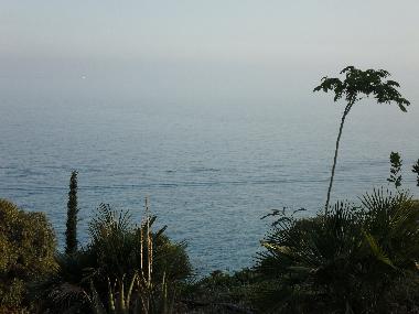 Villa in Piani Cipressa (Imperia) or holiday homes and vacation rentals