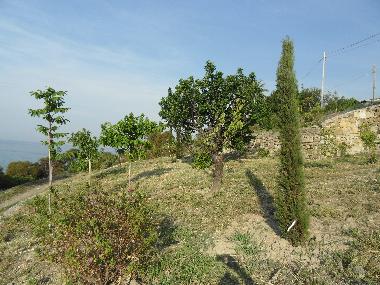 Villa in Piani Cipressa (Imperia) or holiday homes and vacation rentals