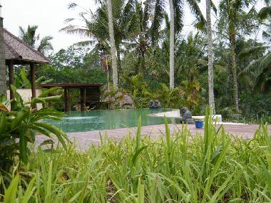 Villa in UBUD (Bali) or holiday homes and vacation rentals