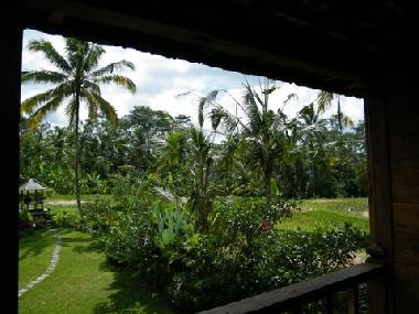 Villa in UBUD (Bali) or holiday homes and vacation rentals