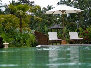 Villa in UBUD (Bali) or holiday homes and vacation rentals