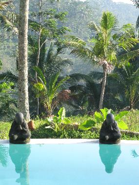 Villa in UBUD (Bali) or holiday homes and vacation rentals