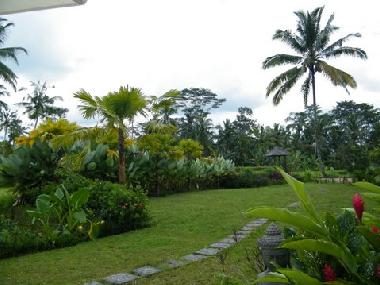 Villa in UBUD (Bali) or holiday homes and vacation rentals