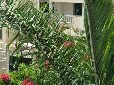Holiday Apartment in temara (Rabat-Sale) or holiday homes and vacation rentals