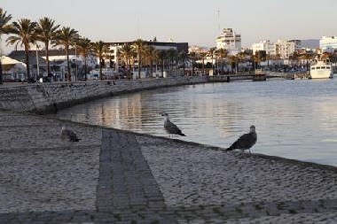Holiday Apartment in portimao (Algarve) or holiday homes and vacation rentals