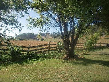 Holiday House in Mole Creek (Tasmania) or holiday homes and vacation rentals