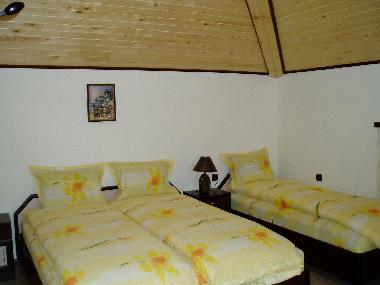 Villa in village of General Kantardzhievo (Varna) or holiday homes and vacation rentals
