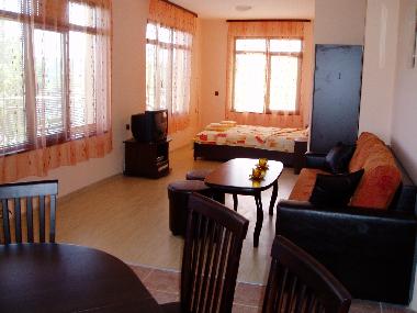 Villa in village of General Kantardzhievo (Varna) or holiday homes and vacation rentals