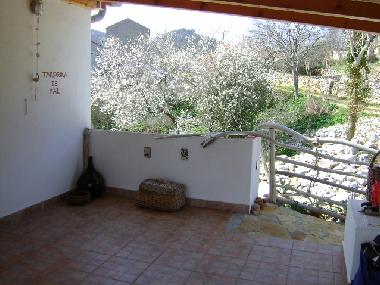 Holiday House in Sali (Zadarska) or holiday homes and vacation rentals