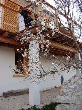 Holiday House in Sali (Zadarska) or holiday homes and vacation rentals