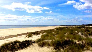 beach 150 meters from the house