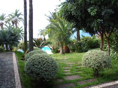 Holiday House in Calheta (Madeira) or holiday homes and vacation rentals