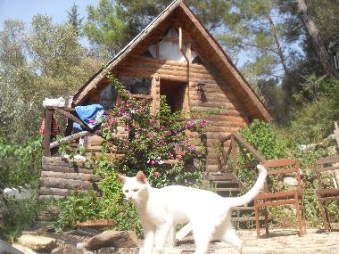 Chalet in Olympos (Antalya) or holiday homes and vacation rentals