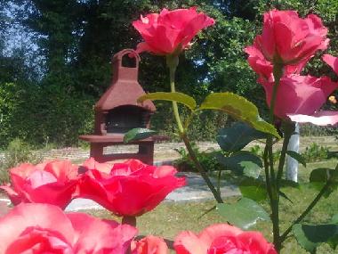 Holiday House in Pula, banjole (Istarska) or holiday homes and vacation rentals