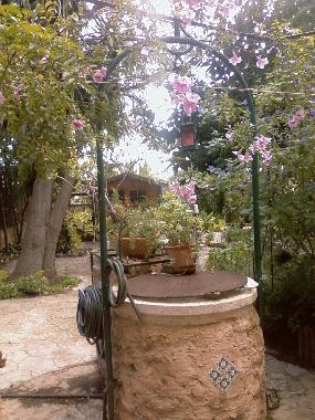 Villa in Palma de mallorca (Mallorca) or holiday homes and vacation rentals