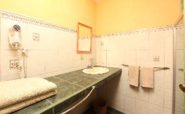 Apartment bathroom w/shower, toilet, hairdryer