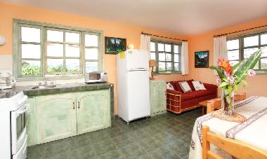Apartment kitchenette cum dining/sitting room