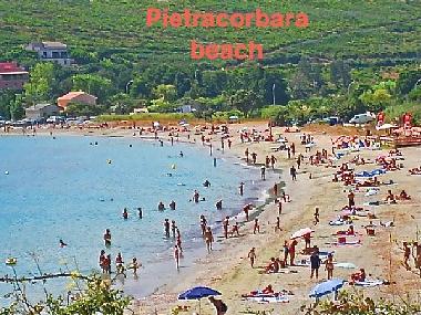 Holiday Apartment in Erbalunga Cap corse (Haute-Corse) or holiday homes and vacation rentals